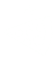 Pizza Orderanywhere Sticker by Dominosnl