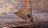 Hawk Maui GIF by Walt Disney Studios