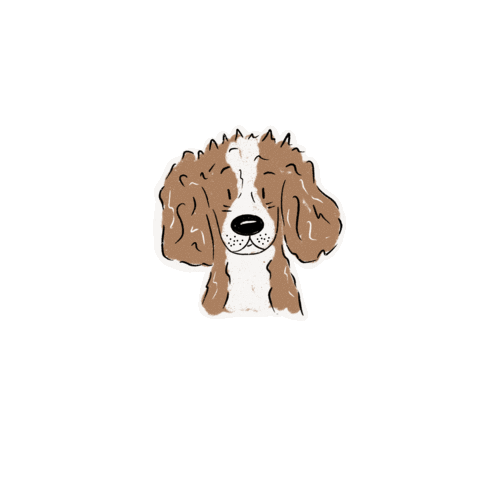 Cavalierkingcharles Sticker by Winkeltjevanbeer