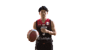 World Cup Game Sticker by FIBA