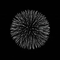 SimonYouthFoundation celebrate fireworks youth students GIF
