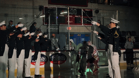 Womens Hockey GIF by Norwich University