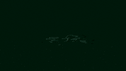 forest rising GIF by South Park 