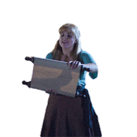 Blackfriday Sticker by plaisio