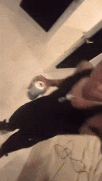 Dance For Nothing GIF