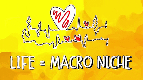 Heart Life GIF by Digital Pratik