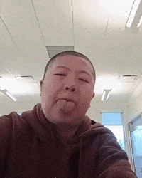 Chicago Niche GIF