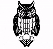schmincke_official blink owl watercolor zwinker GIF