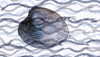 Ocean Dream Water GIF by Barbara Pozzi