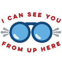 Looking See You Sticker by American Airlines