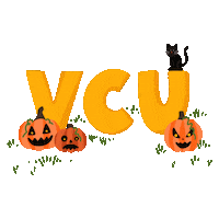 Halloween Pumpkin Sticker by Virginia Commonwealth University