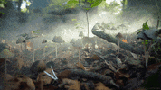 photography fall GIF by Living Stills
