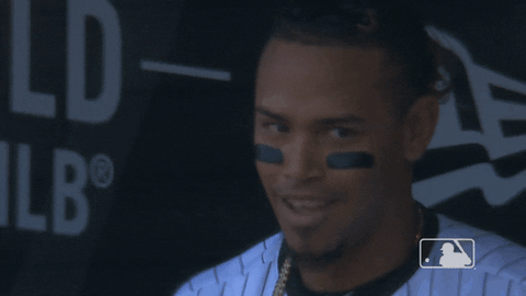 major league baseball smile GIF by MLB