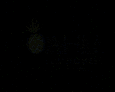 GIF by OahuLuxHomes