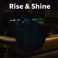 Sponsored gif. Neon sign of the Starbucks mermaid logo flashes on and off in the darkened window of a coffee shop. Text reads, “Rise and shine.”