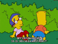 bart simpson car GIF