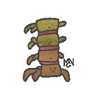 the_Anatomeeps education medicine anatomy medstudent Sticker