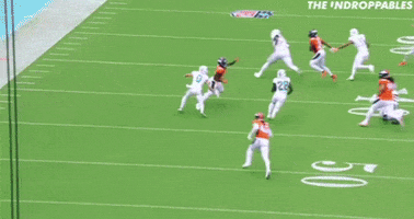 Miami Dolphins GIF by The Undroppables