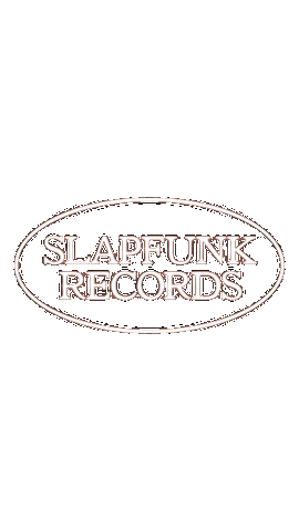 Dj House Sticker by Slapfunk records