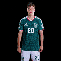 Fifa World Cup Mexico GIF by Respective