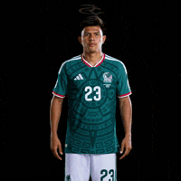 Fifa World Cup Mexico GIF by Respective