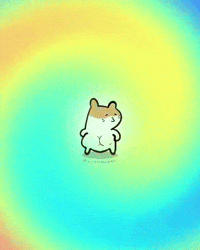 Pet Dancing GIF