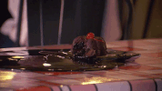 cbe408 GIF by truTV’s The Carbonaro Effect