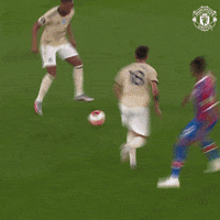 Man Utd Football GIF by Manchester United