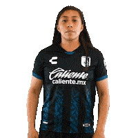 Game Day Gallos Sticker by Club Querétaro