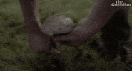Off The Grid Community GIF by guardian