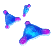 3D Cells Sticker by Soso Phist