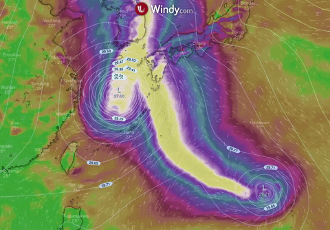 Windydotcom giphygifmaker GIF