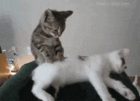 Erotic Massage GIFs Find Share On GIPHY erotic-massage-gifs-find-share-on-giphy