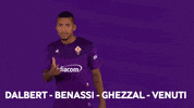 GIF by ACF Fiorentina