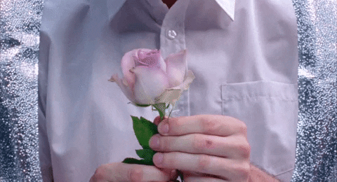 art flowers GIF by NOWNESS