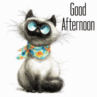 Good Afternoon Hello GIF