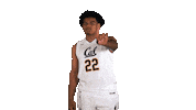 uc berkeley no Sticker by Cal Athletics