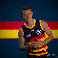 tom doedee afl GIF by Adelaide Crows