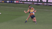 round 15 afl GIF by Adelaide Crows