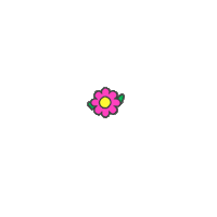 Flower Spring Sticker by OLIVEYOUNG