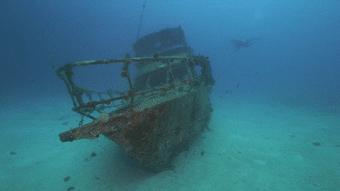 Philippines Wreck GIF by Seaquest Dive center