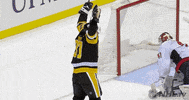 Ice Hockey Sport GIF by NHL