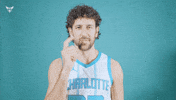 Hive Mentality Vasa Micic GIF by Charlotte Hornets