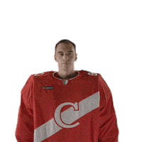 Spartakgoals Sticker by Spartak HC