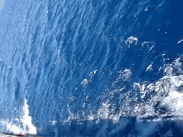 Earth Science Education GIF by DIIMSA Stock