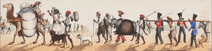 GIF by Sarmaya Arts Foundation