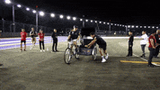 ver formula 1 GIF by Red Bull Racing