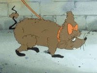 tex avery 1980s GIF by Warner Archive
