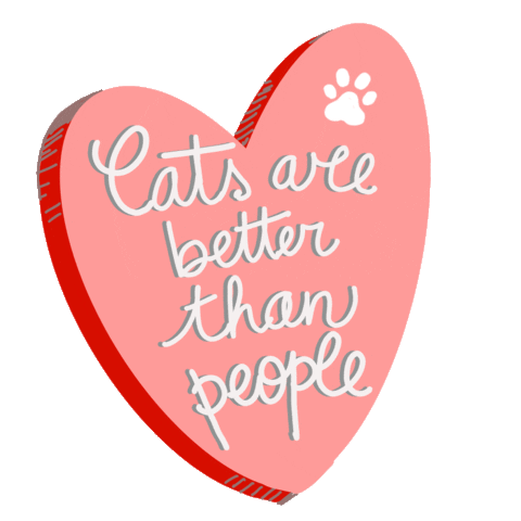 amicidichicco cat gatti gattara amicidichicco Sticker