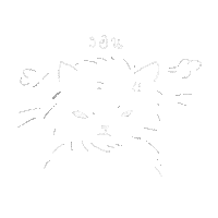 Angry Cat Sticker